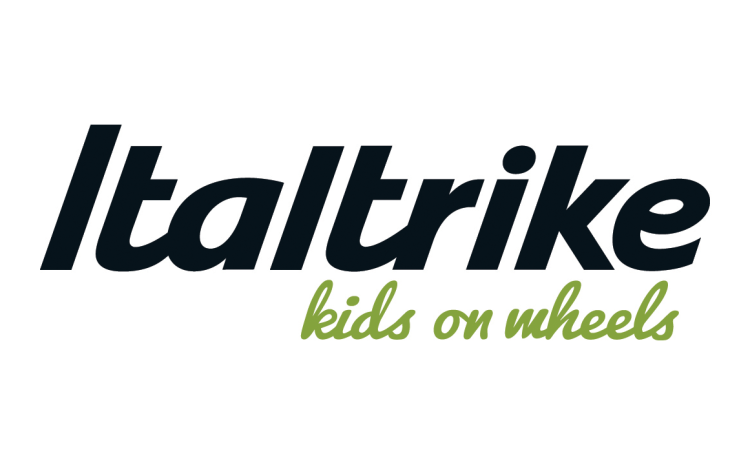  Datasys Network’s Case Study: Italtrike